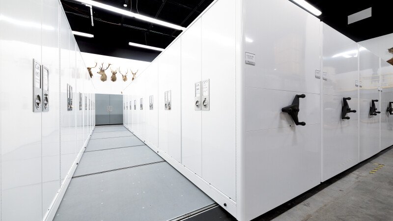 Delta Cabinets