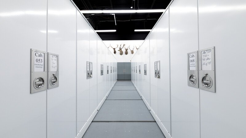 Delta Cabinets