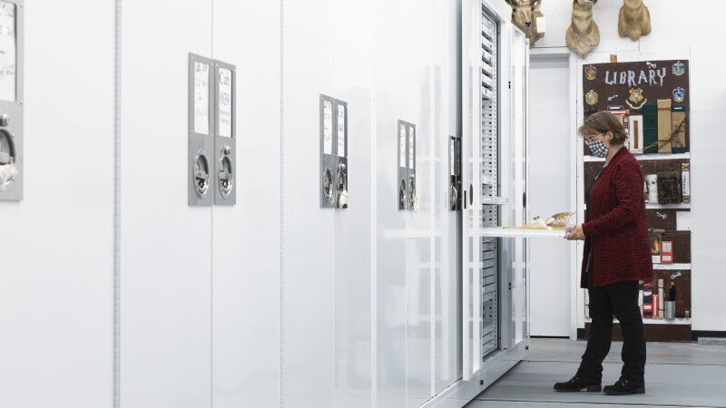 Delta Cabinets