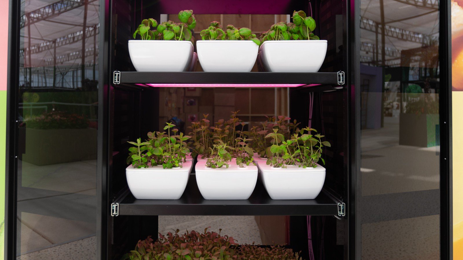 Vertical farming